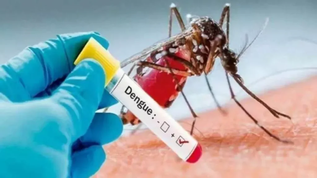 dengue in prayagraj