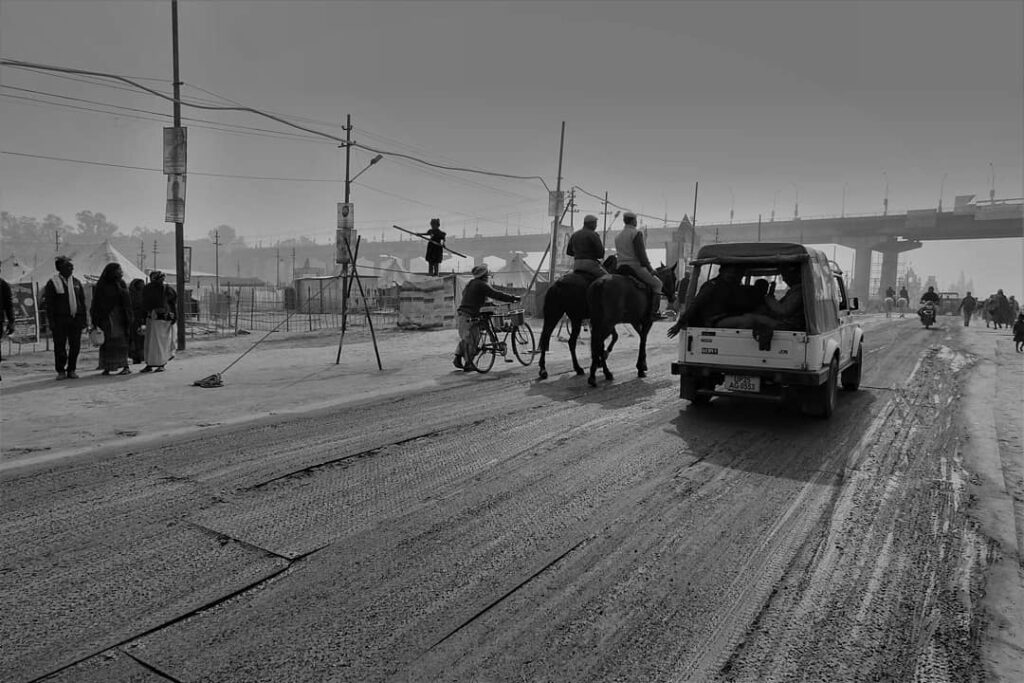 maha kumbh mela horse